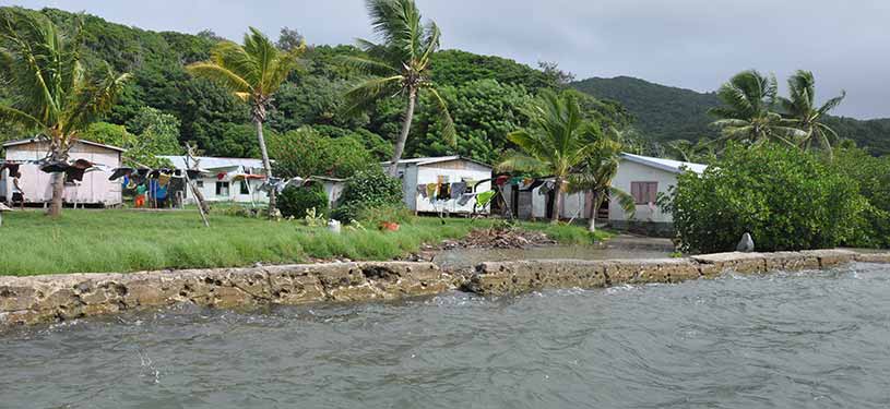 Houses at a coast line on which palm trees are growing.